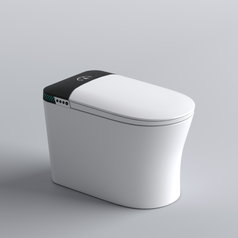 Simple, Hot Selling, Fashionable Ceramic Floor Standing Intelligent Toilet
