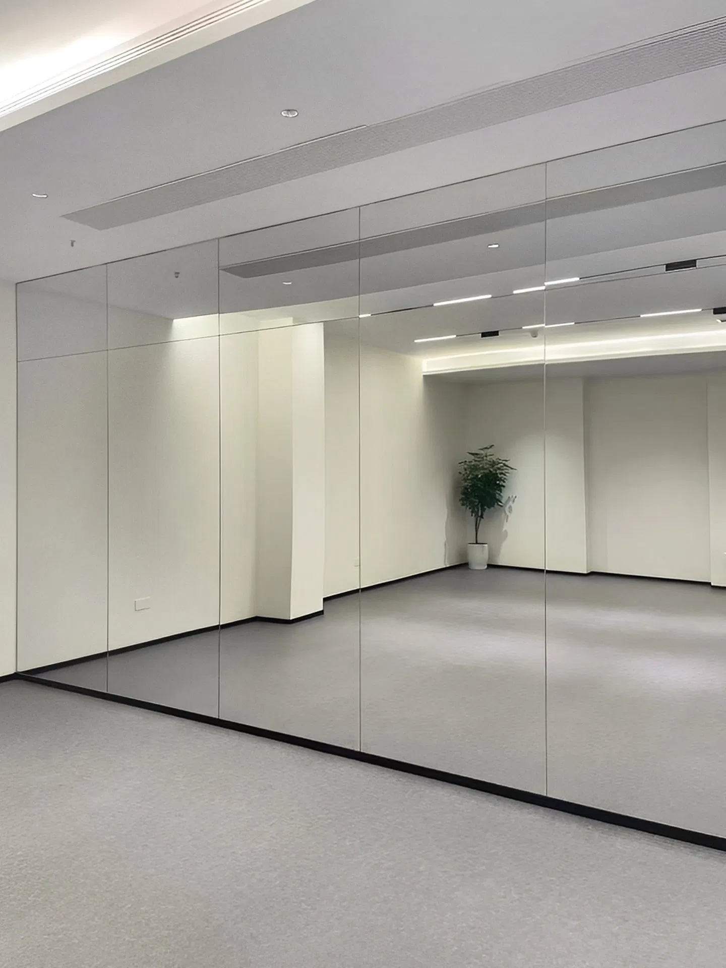 Luxury Large Rectangular Wall Mirror with Shatterproof Glass for Modern Home Decor/Gym/Dance Studio/Martial Arts Training/Fitting Room
