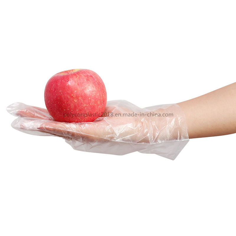 Poly Disposable Kitchen Gloves Medium, BPA Free, Food Grade