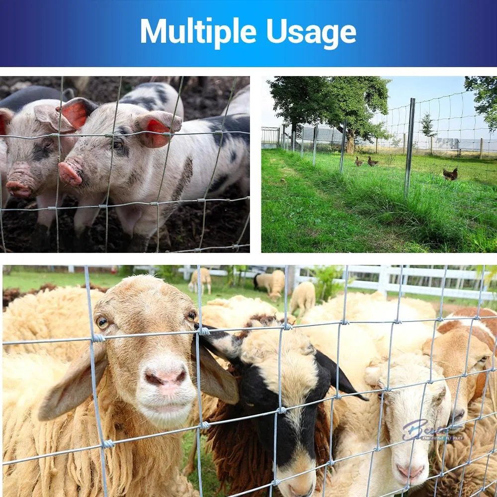 Agricultural Field/Hinge Knot/Ranch/Woven Wire Field Fence