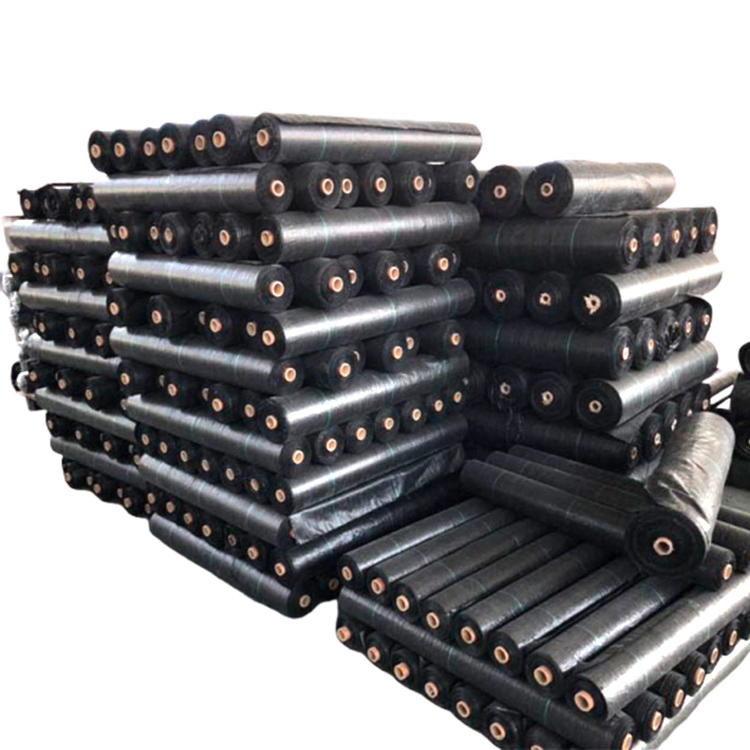 Malaysia PP/PE/Plastic Woven Ground Cover/Anti Weed Barrier/Control Mat for Agriculture/Garden/Landscape