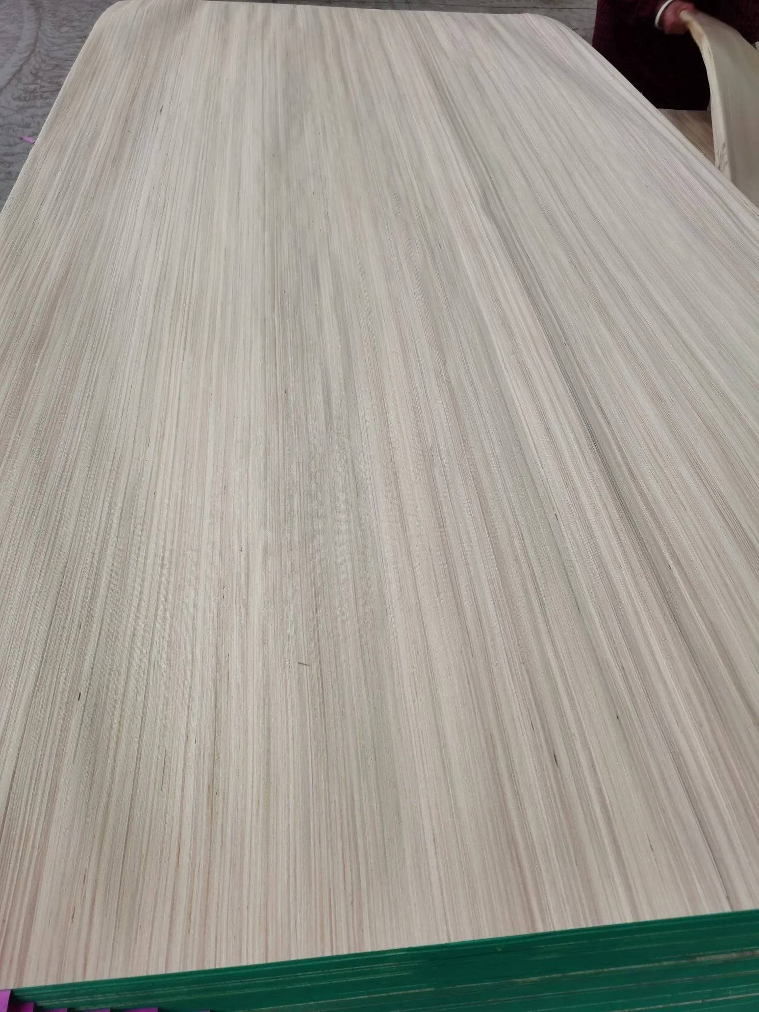 Factory-Poplar Engineer Veneer Big Size 4'x10' for Plywood Use