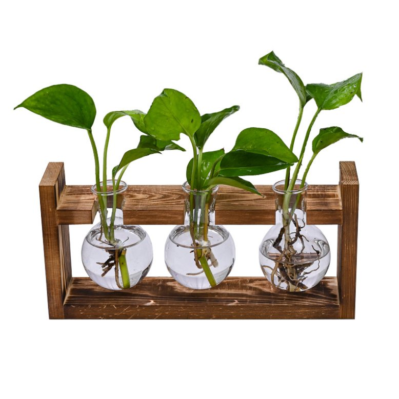 Creative Wooden Frame Hydroponic Small Ins Green IVY Plant Glass Bottle Container Vase