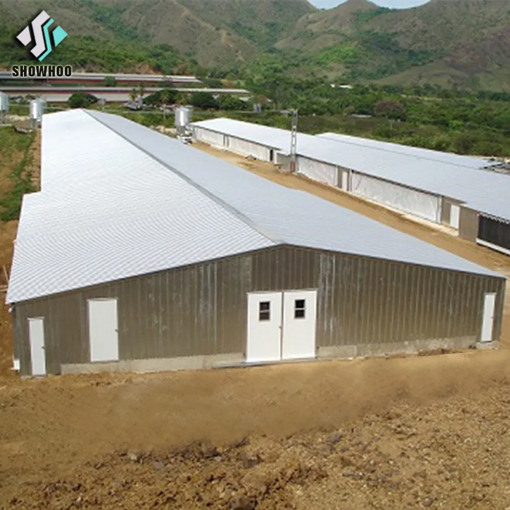 Modern Farmhouse-Style Automatic Poultry House Steel Structure
