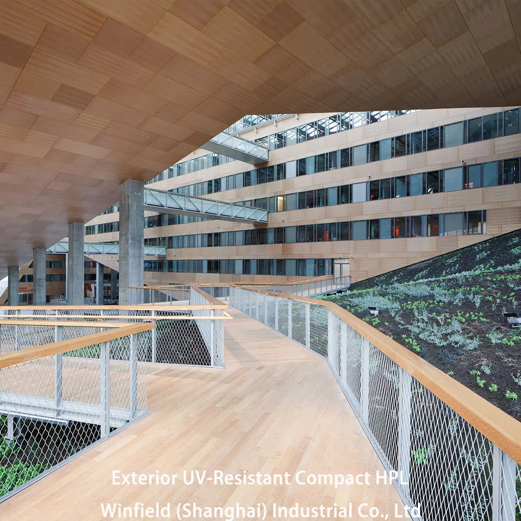 Tough Exterior UV-Resistant Compact HPL Laminate Sheet with Wear Resistance