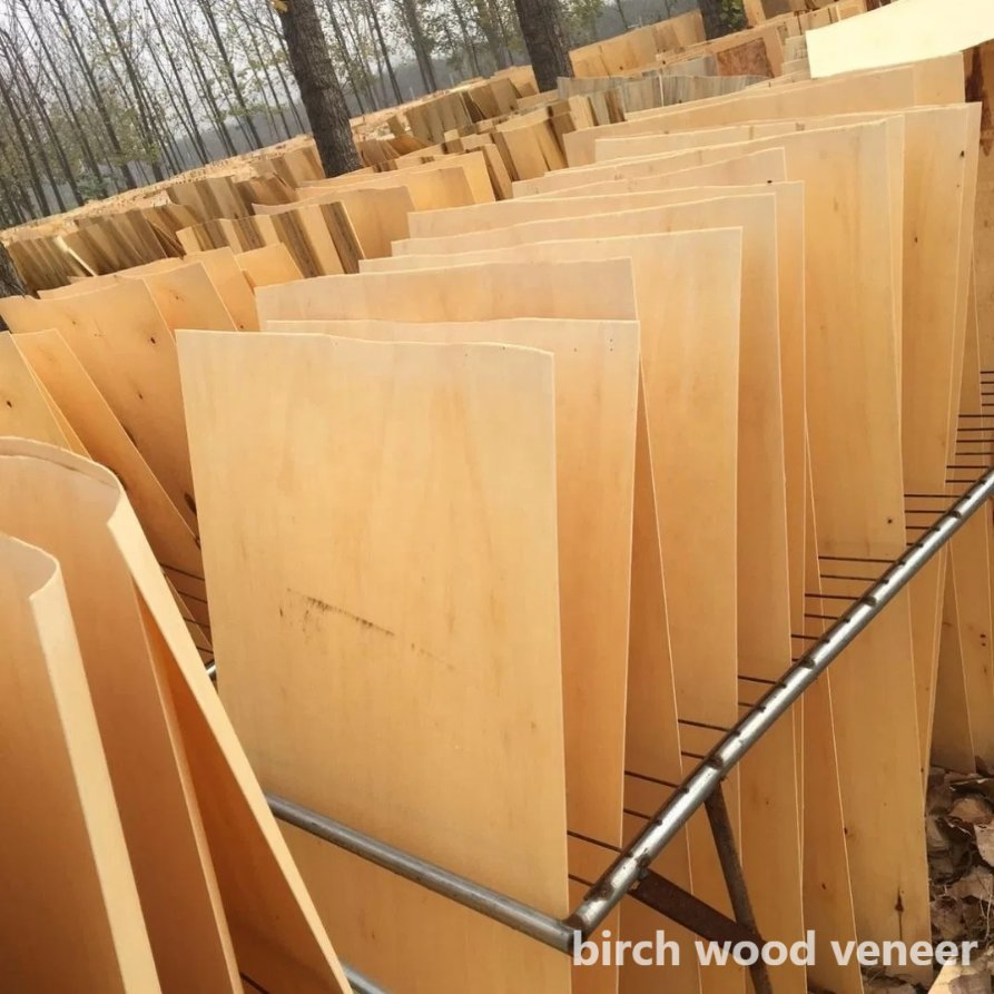 Customized Birch Veneer /Birch Wood Veneer C /D/E Grade for Birch Plywood