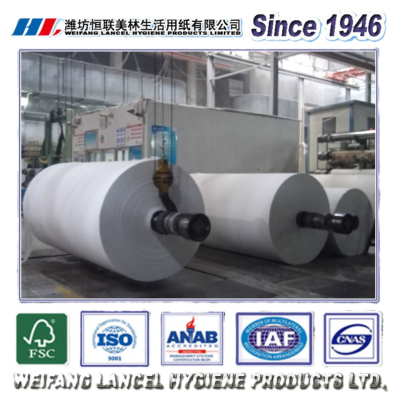 Chinese Factory Direct Selling Wholesale Economic Cheaper Raw Material Jumbo Roll Toilet Tissue Paper