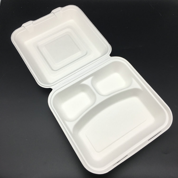 10 Inch Bagasse Lunch Box with 3 Compartments