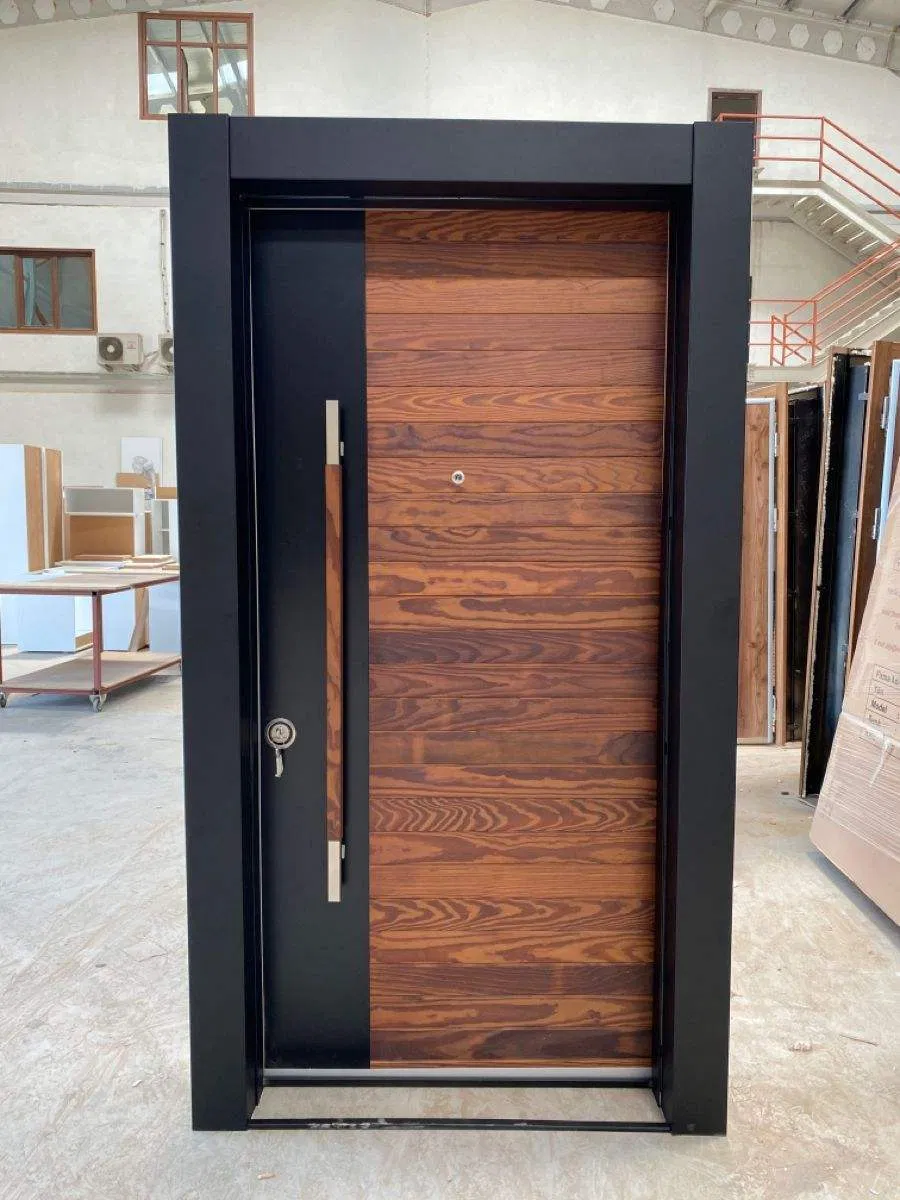 Hitech Exterior Stainless Steel Pivot Door Luxury Design Main Entrance Mental Door Steel Security Front Door Exterior for Home