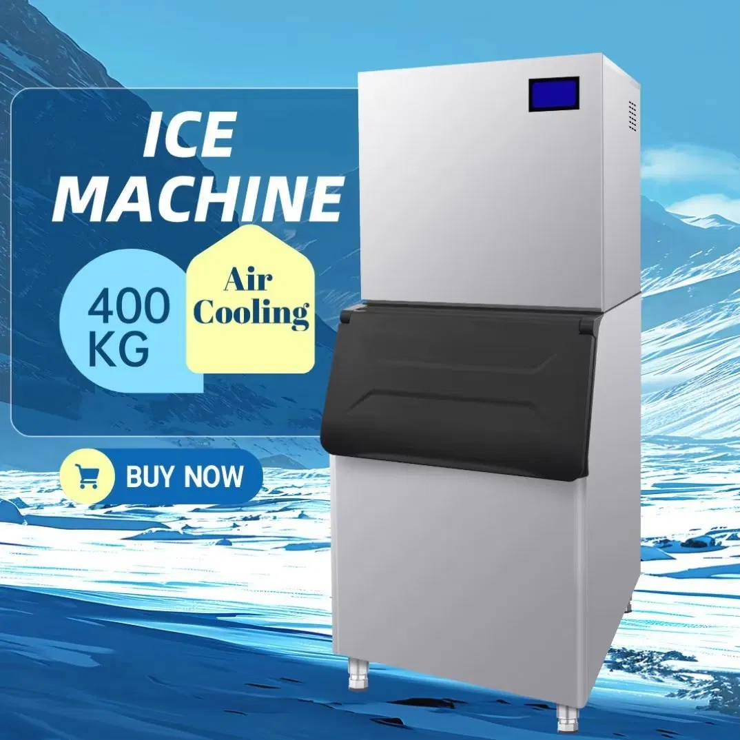 Auto-Cleaning 500kg Fresh and Clean Snowflake Ice Machine for Shops