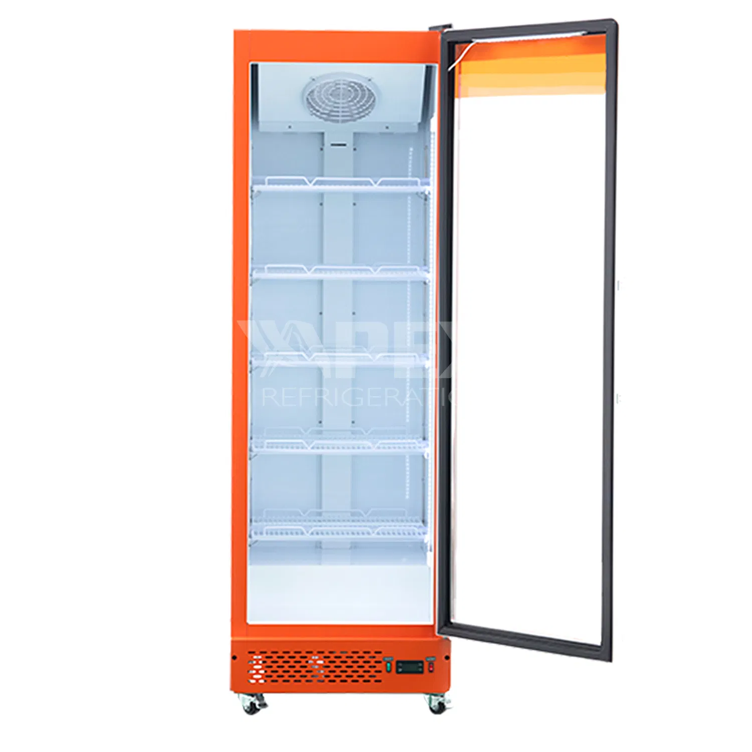 Delux Model Beverage Showcase Commercial Upright Glass Door Display Cooler