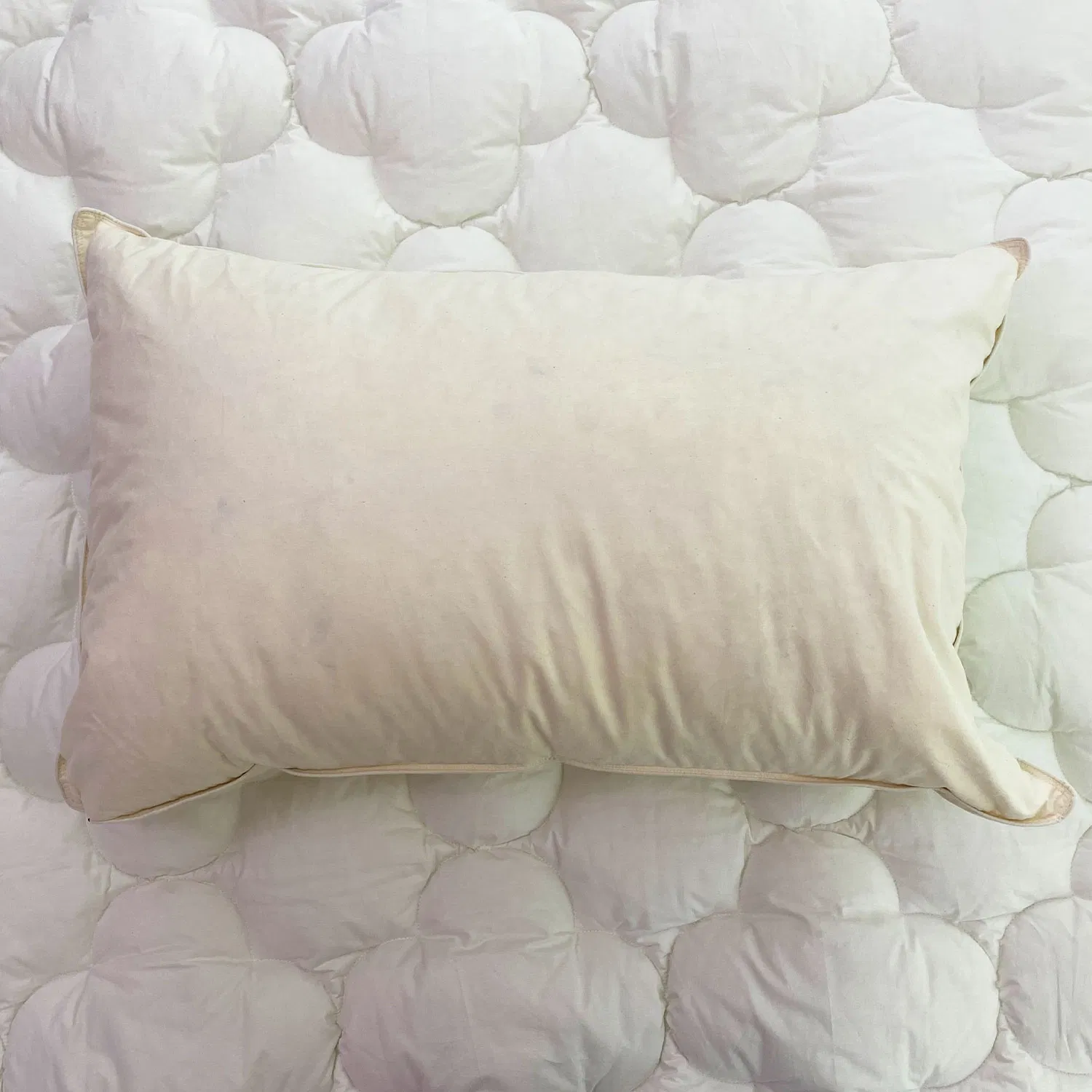 Hypoallergenic Breathable Height-Adjustable 100% Organic Cotton Pillows