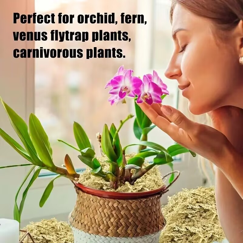 OEM Custom Wholesale 6A Grade 6L 12L 100g 200g 500g 1kg 5kg Sphagnum Moss for Orchid Plants & Reptile Pets