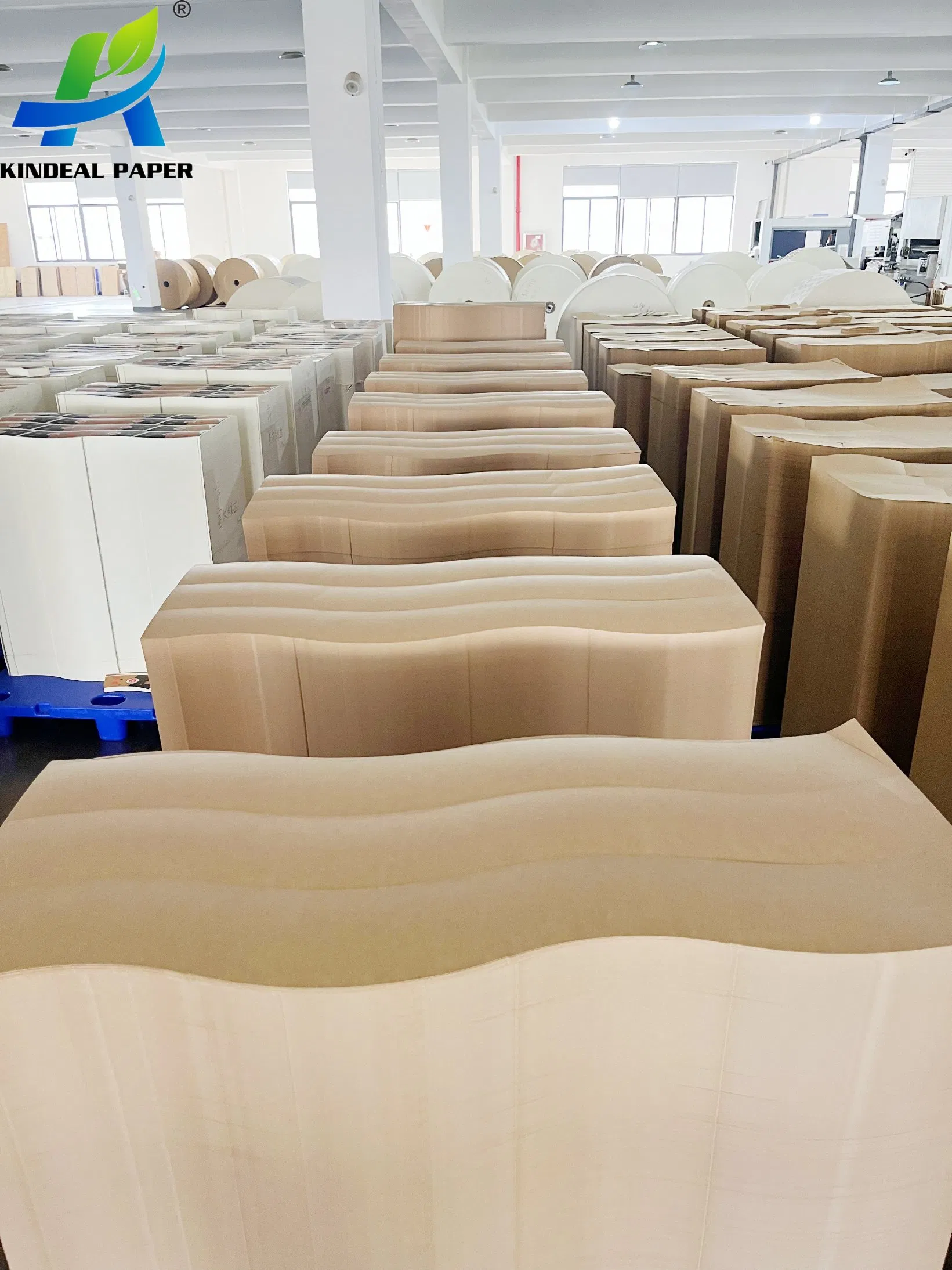 Food PE Coated Kraft Paper Jumbo Roll Raw Material Paper for Cup