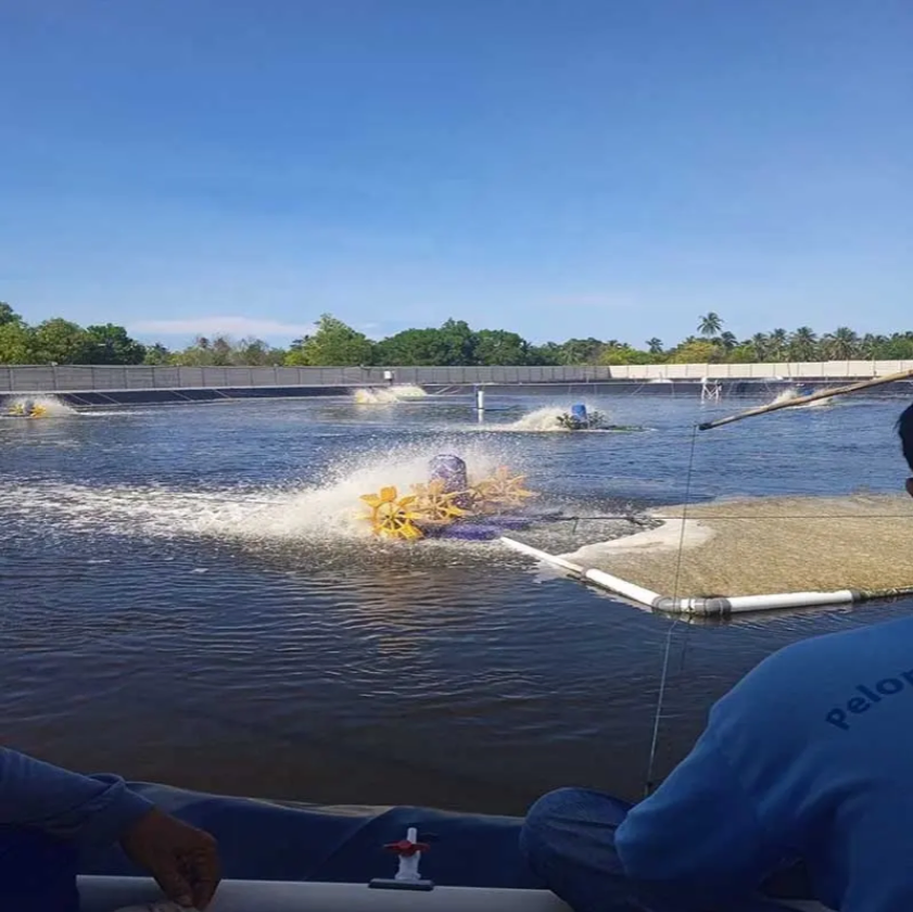 Durable Customizable Black HDPE Geomembrane Liner for Dams, Textured HDPE Geomembrane