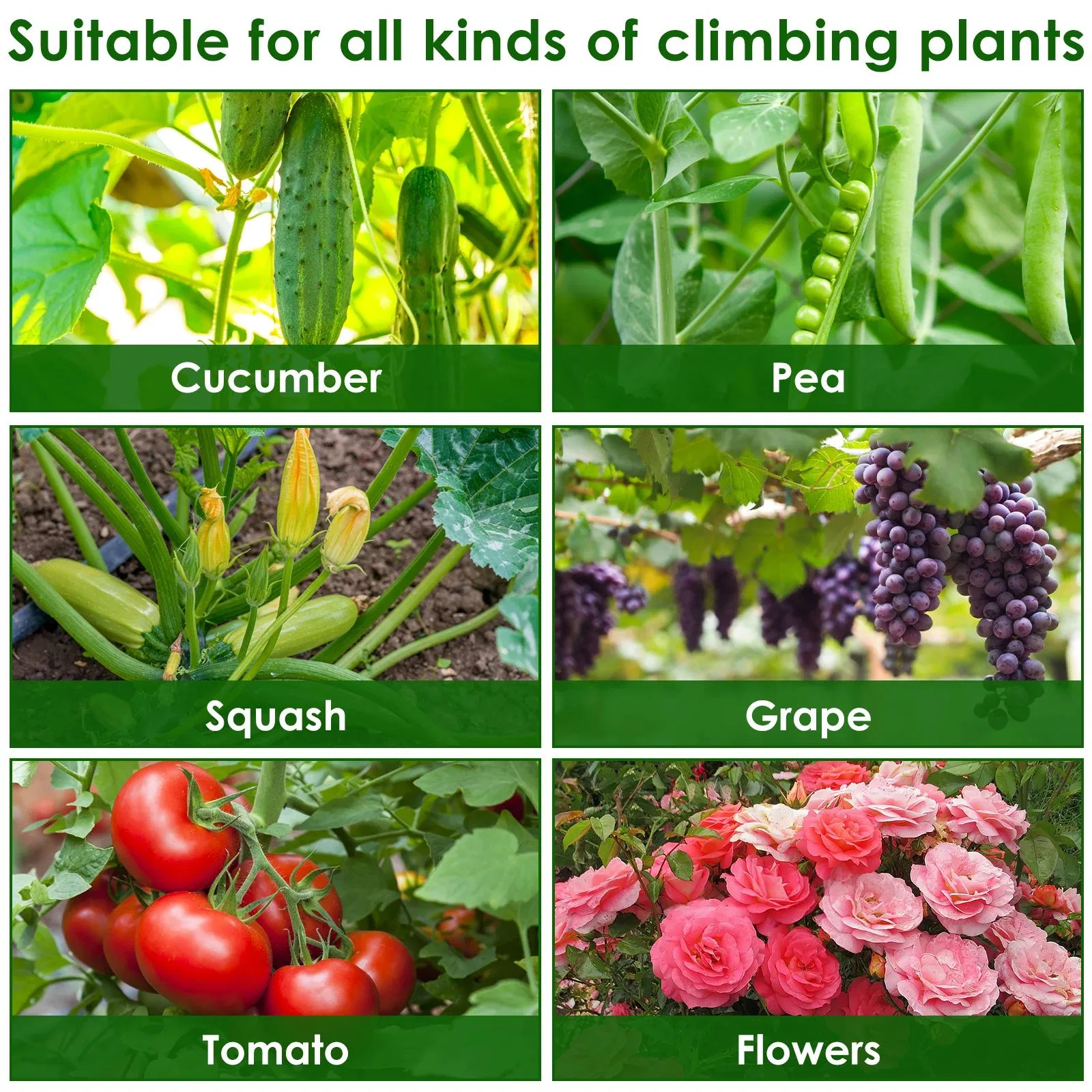 a-Frame Cucumber Trellis Plant Climbing Frame Set Detachable Easy to Install Outdoor Garden Vegetable Trellis for Climbing Plant