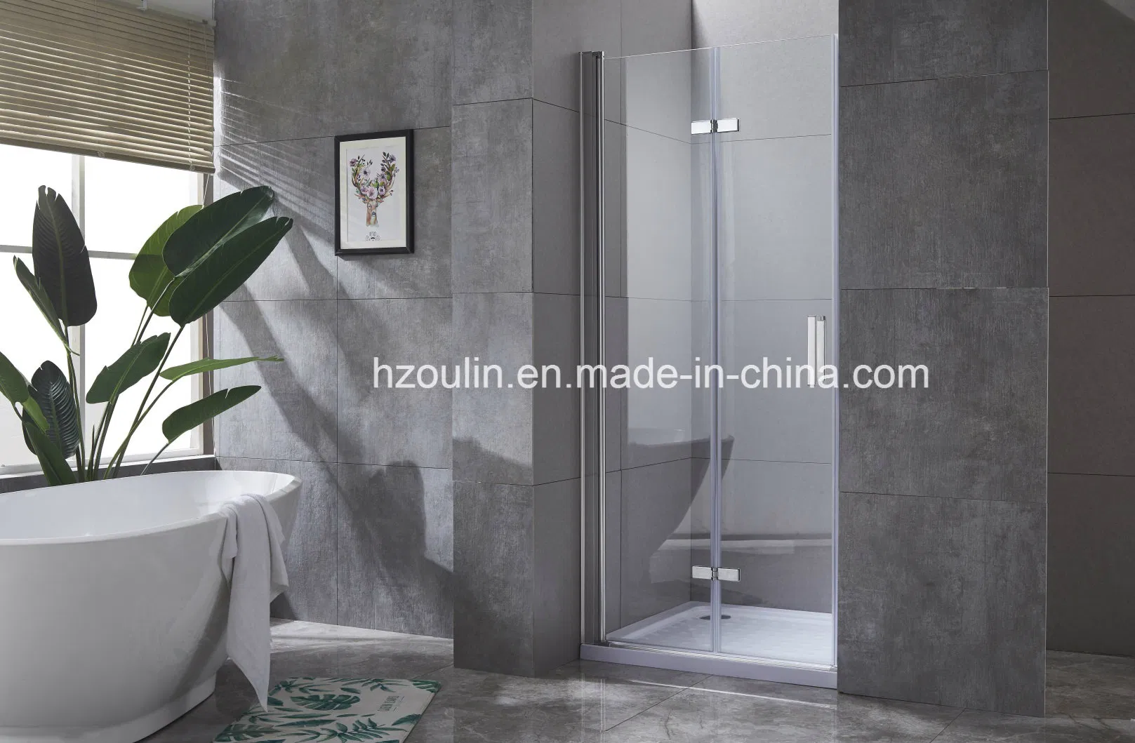 Shower Enclosure Door with Hinges