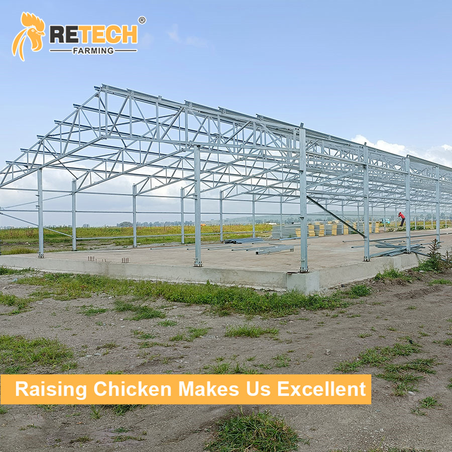 Automatic Chicken Poultry Cages Hot Galvanized Cheap Price Egg Layers Cage Poultry Farm House Free Design