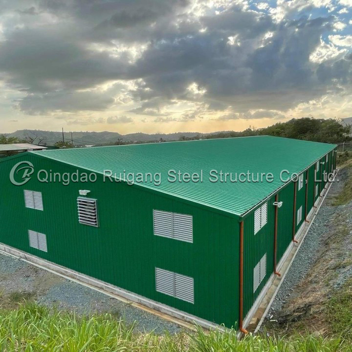 Best Quality Low Cost Various Colors Durable Light Prefabricated Steel Structure Garages/Hanger