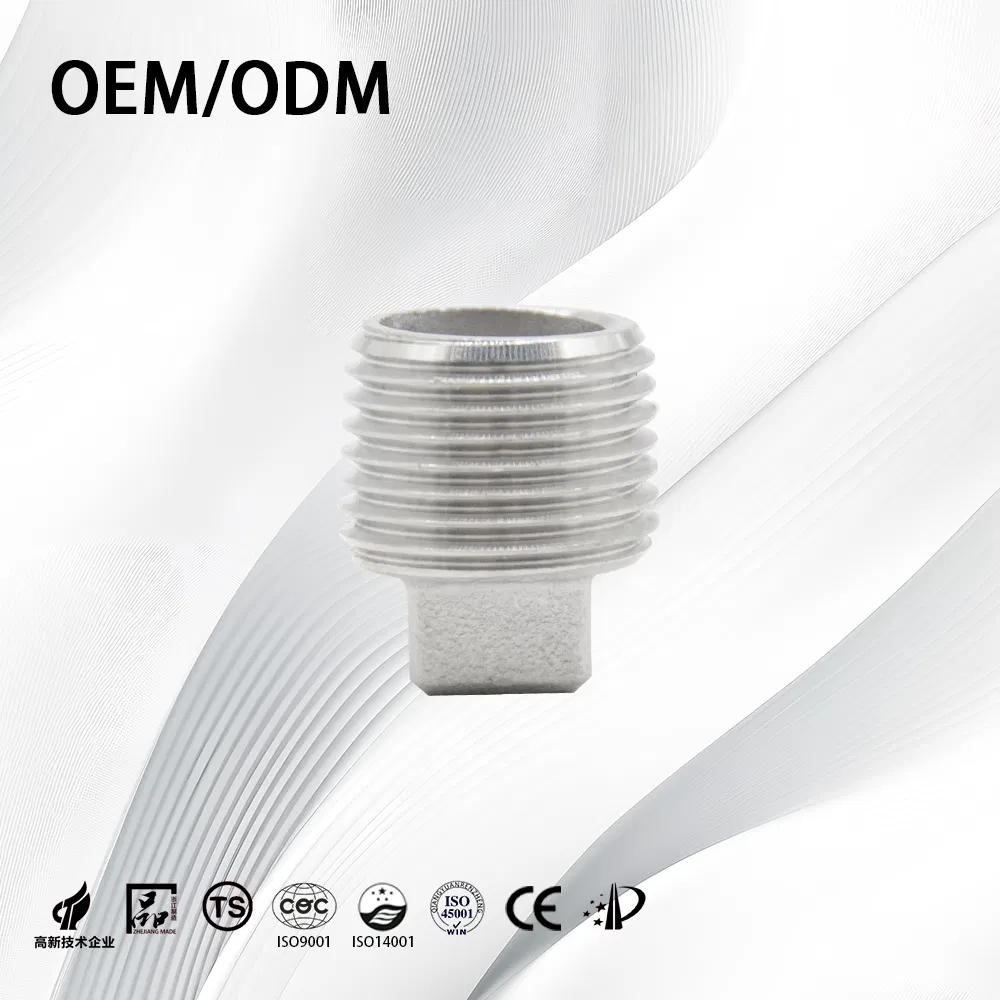 Stainless Steel Industrial Customize Anti-Corrosion End Plug with Square Head
