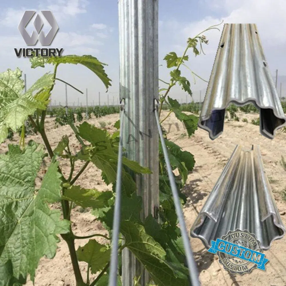 Premium Steel Trellis Post for Enhanced Vineyard Stability