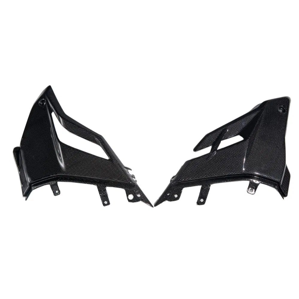 Карбоновый поддон для Ducati Streetfighter V4 (2020+)