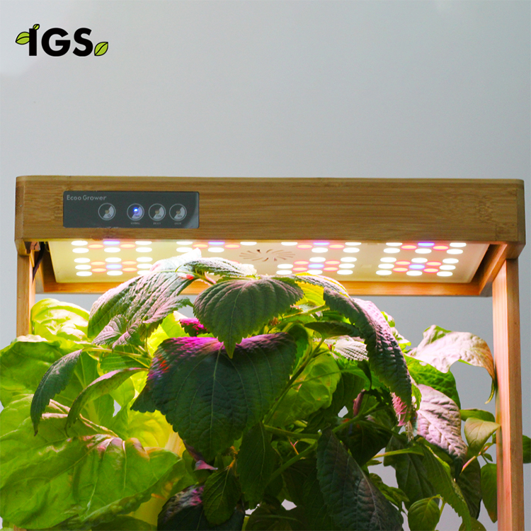 Гидропонная система домашняя 8 капсул