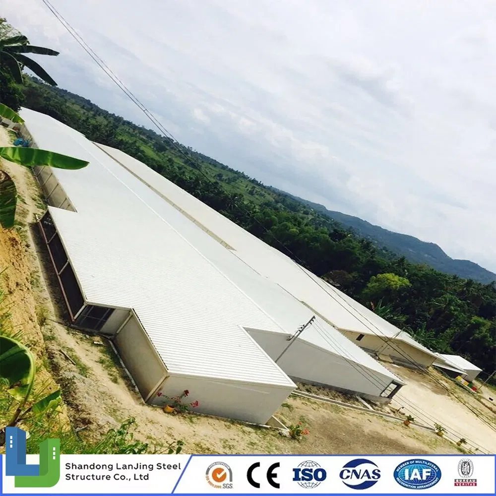 Steel Structure Layer Egg Chicken Broiler Poultry House Prefabricated Building for Ethiopia/Uganda/Zimbabwe