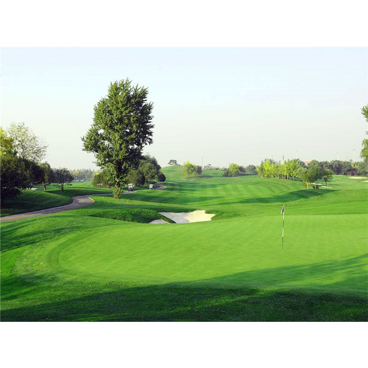 Artificial Turf 13mm Golf Putting Green Synthetic Grass