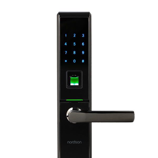 New Design Security Apartment/Home/Hotel Door Lock Fingerprint Smart Home Lock Nordson