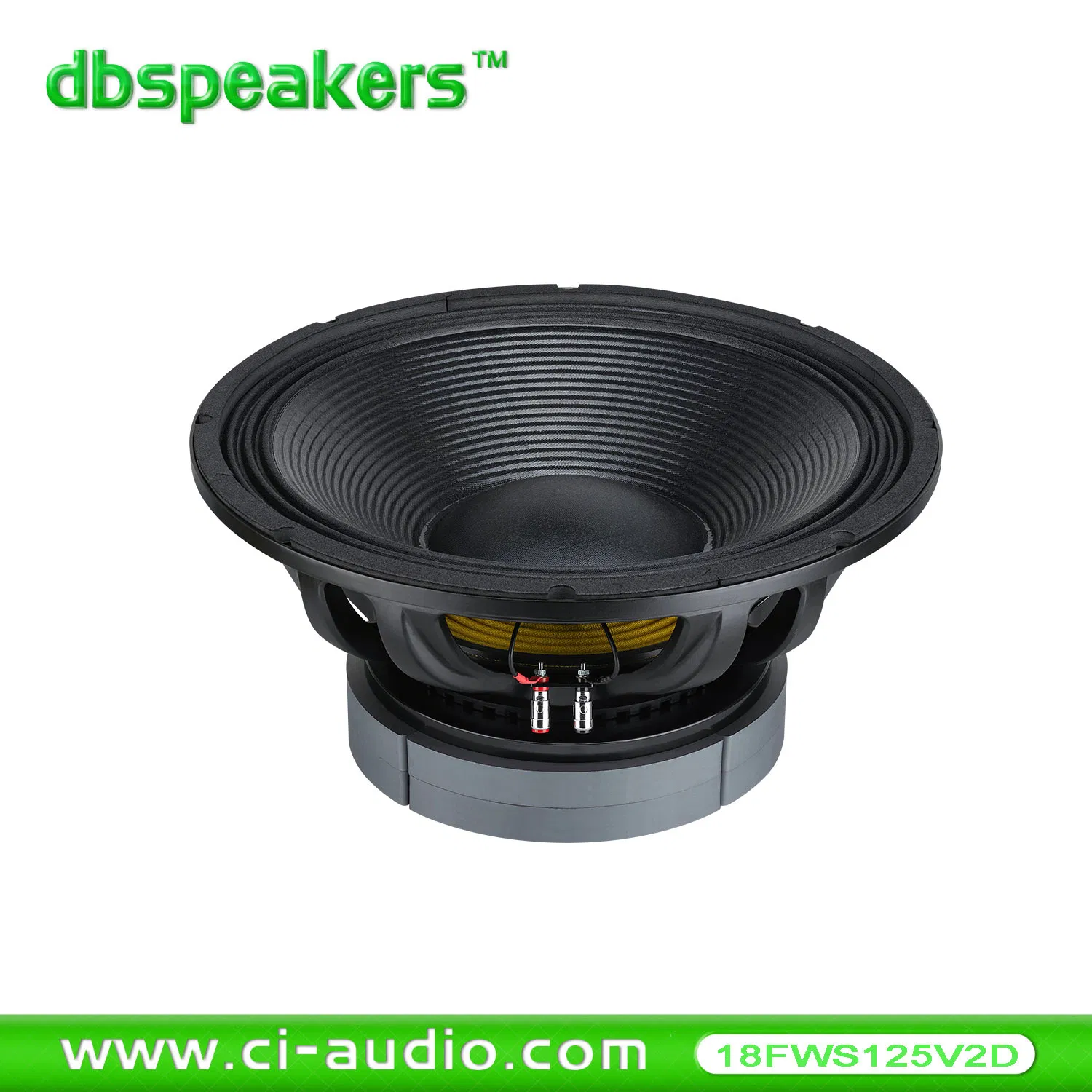 Feel The Big Punch Heavy Bass 18 Inch PA Speaker