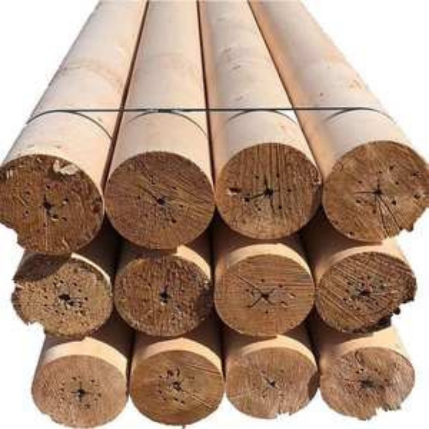 Pine Sylvestris Anti-Corrosion Log Column
