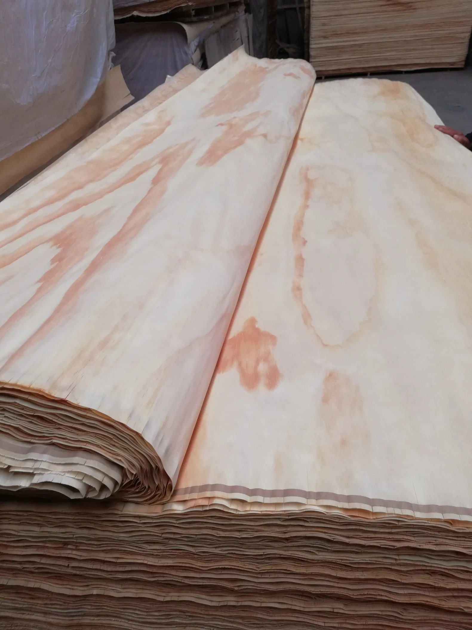 Natural Rotary Cut 0.5mm Thickness Pine Wood Face Veneer
