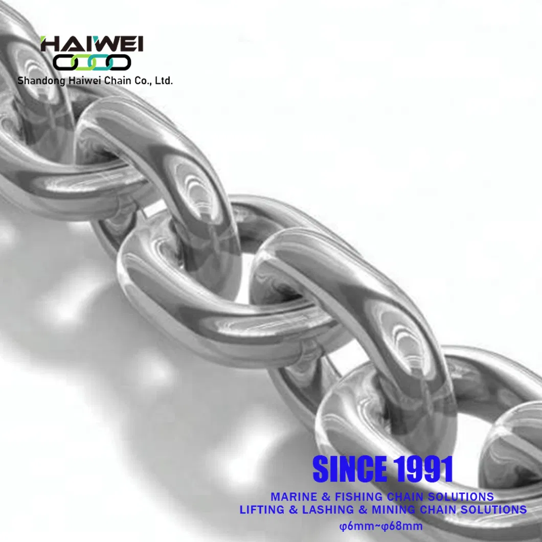 Professional Wholesale Electrically Galvanized Hot DIP Galvanized Chain
