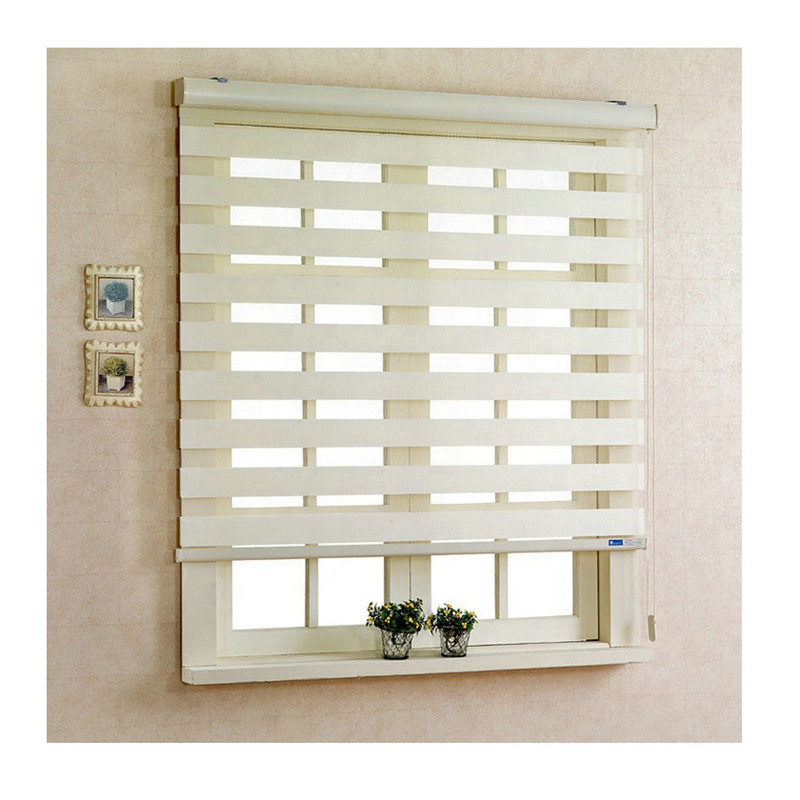 Blind Zebra Dual Roller Blinds Day and Night Blinds Curtains
