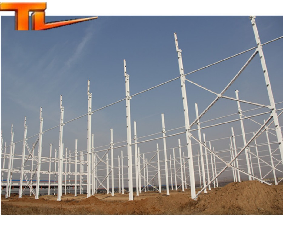 Steel Structure Poulty House Farm House Steel Construction Building