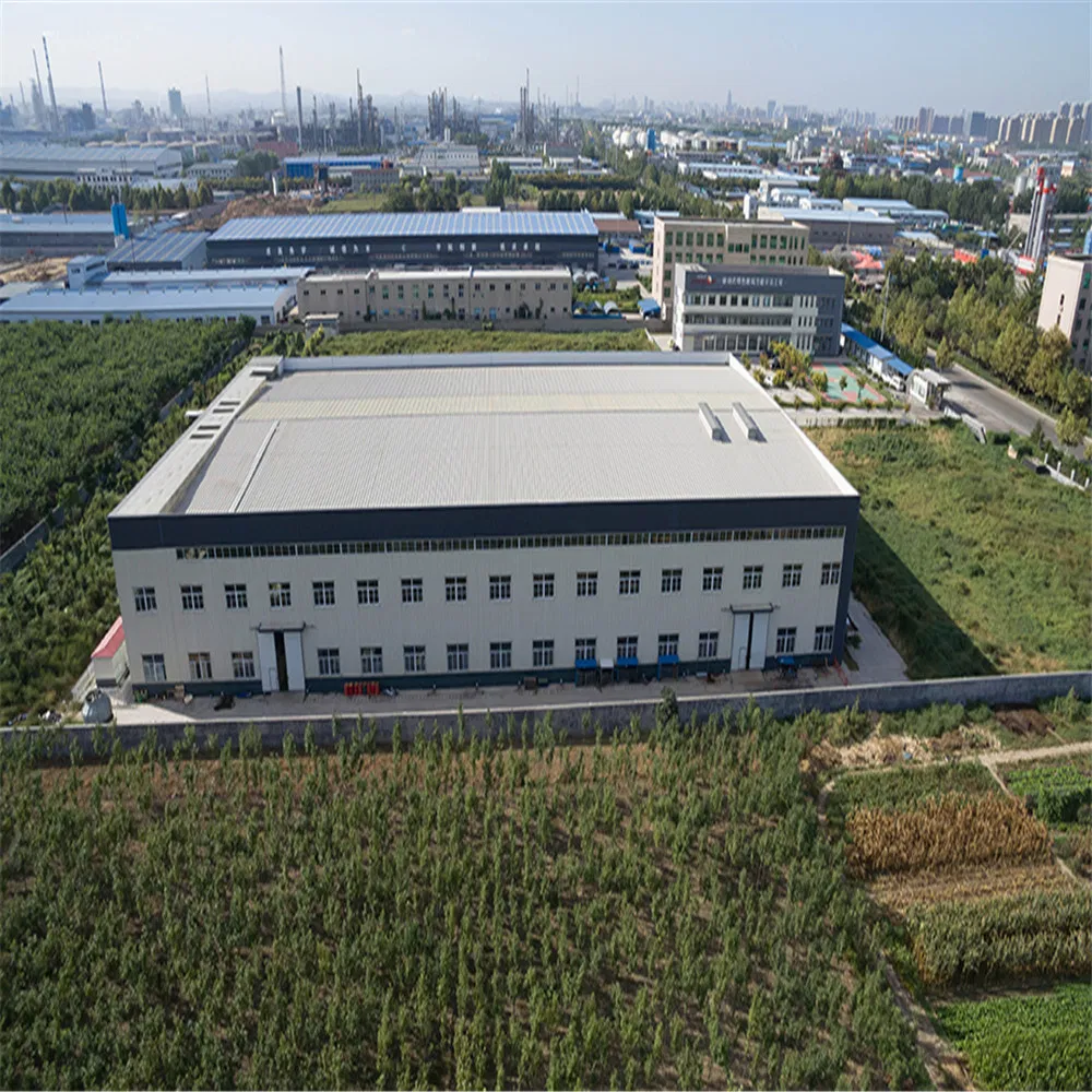 Economical Custom Design Attractive Price New Type Steel Structure Mall