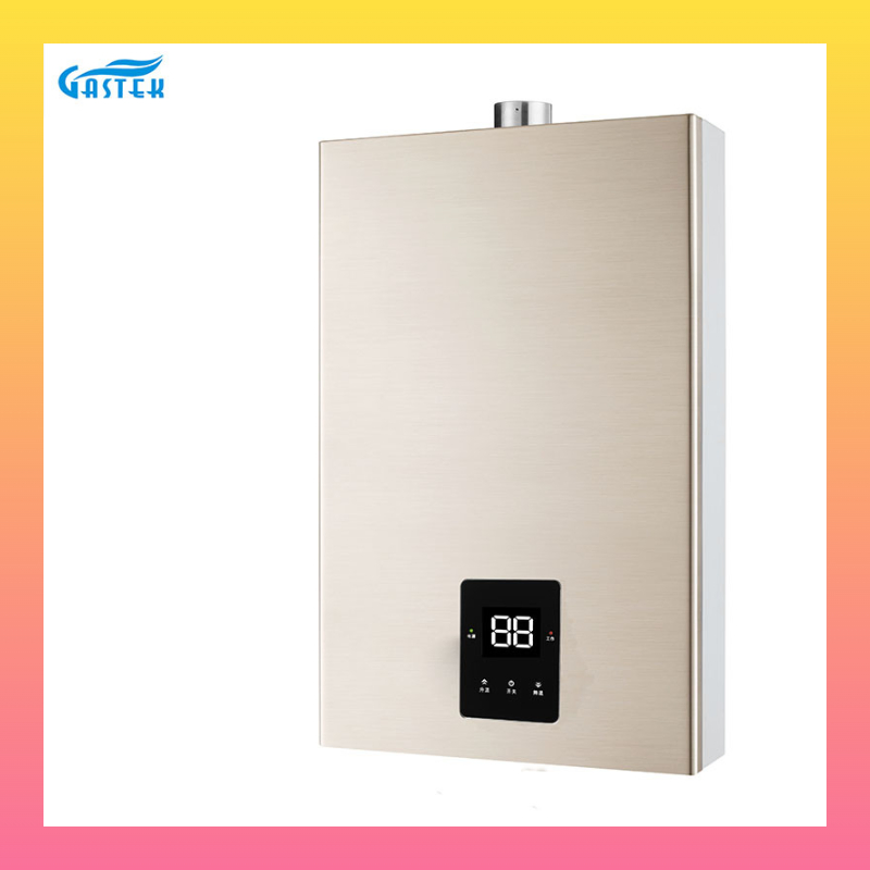 Compact 12 Liters Tankless Gas Water Heater for Home Use
