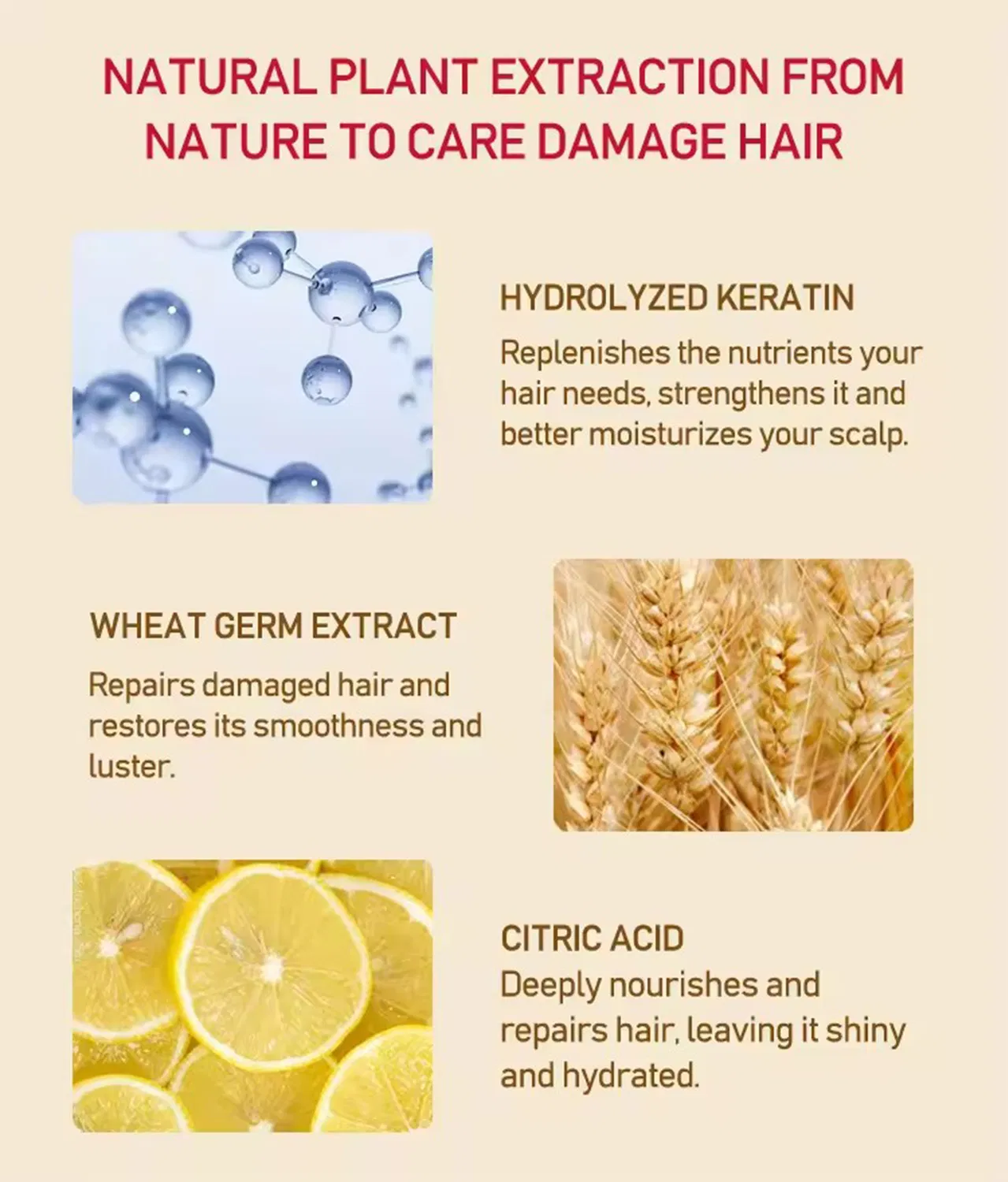 Professional Protein Hair Treatment Hair Repair Straightening Cream