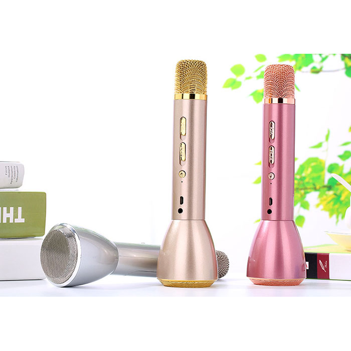 2600mAh Wireless Bluetooth KTV Microphone and High Quality Speaker