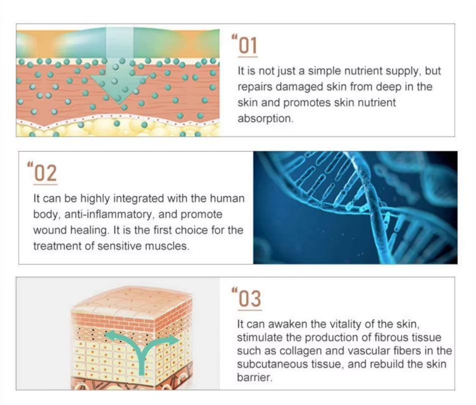 Dermeca Pdrn Baby Skinbooster Polydeoxyribonucleotide Promoting Collagen Production