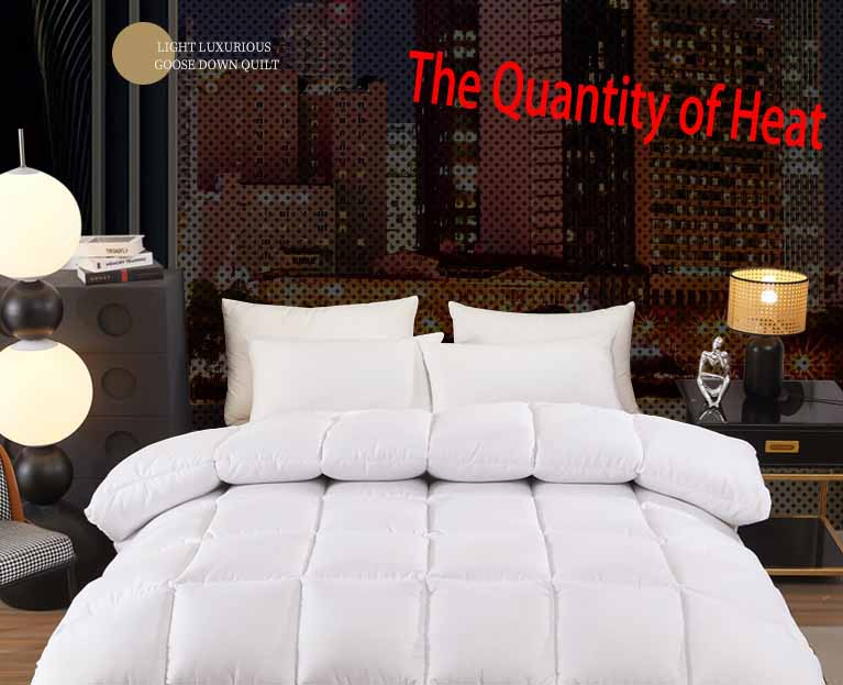 Multi-Color Thickened Warm Duvet Solid Color Light Luxury Feathered Quilt for Home