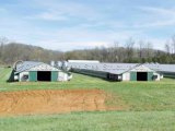 Durable and Cheap Chicken Farming for Eggs with Factory Design