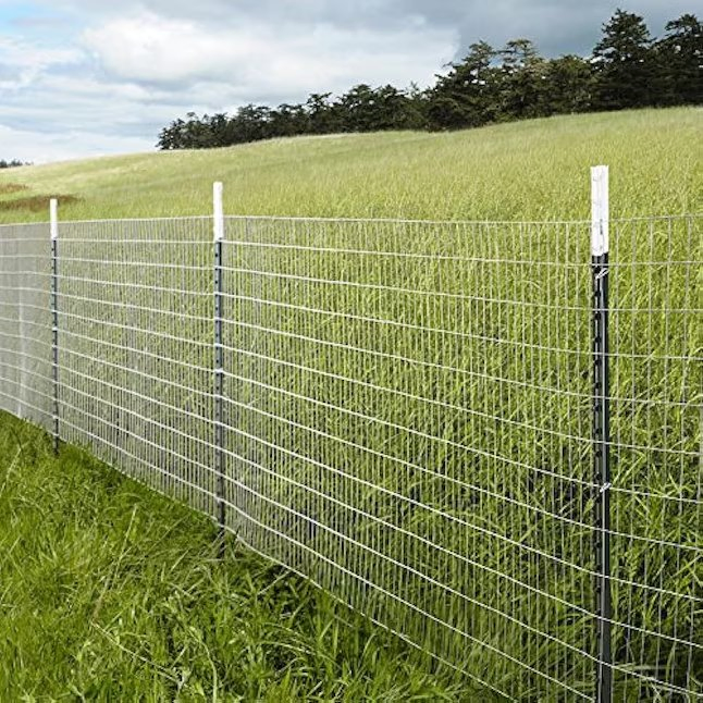 Farm Fence Use Safety Green Painted Steel T Post for Sale