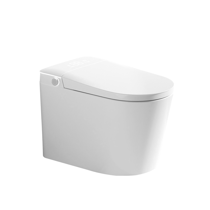 Simple Hot Selling, Fashionable Ceramic Wall Mounted Intelligent Toilet