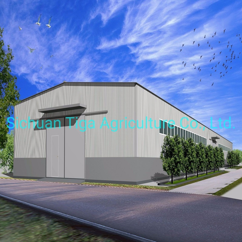 High Quality Prefabricated Steel Structure Industrial Warehouse/Workshop for Sale