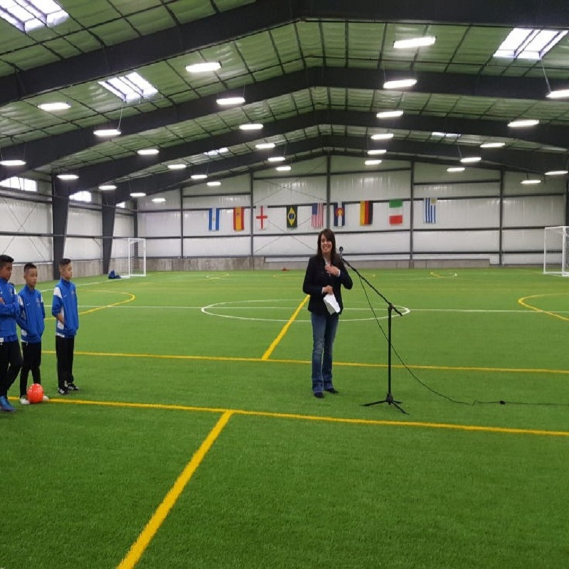 Q355 Fast Build Prefabricated Steel Structure Design Badminten Basketball Sports Hall Football Stadium