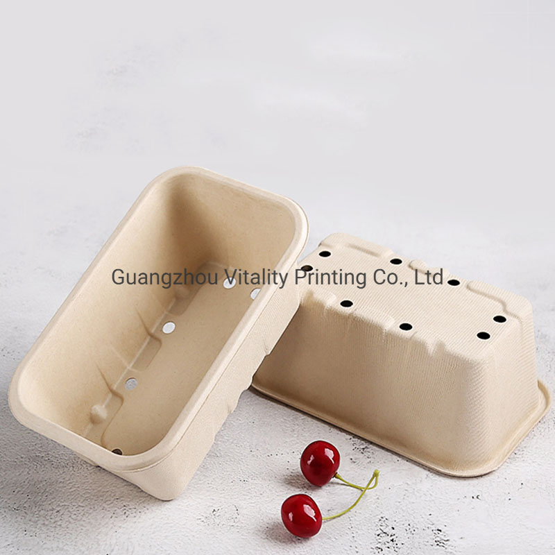 Manufacturer Eco-Friendly Biodegradable Bagasse Food Storage Box Drain Basket Kitchen Fruit Vegetable Washing Drying Storage Strainer Basket