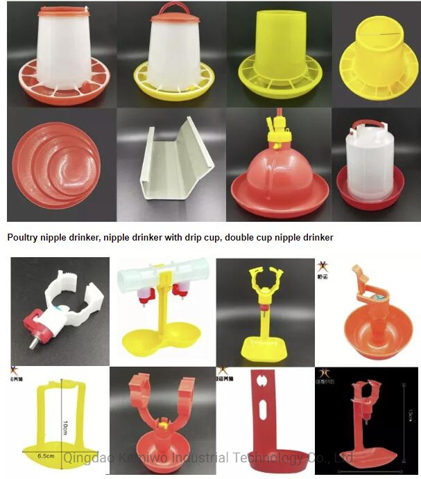 Poultry Equipment Chicken Plastic Products