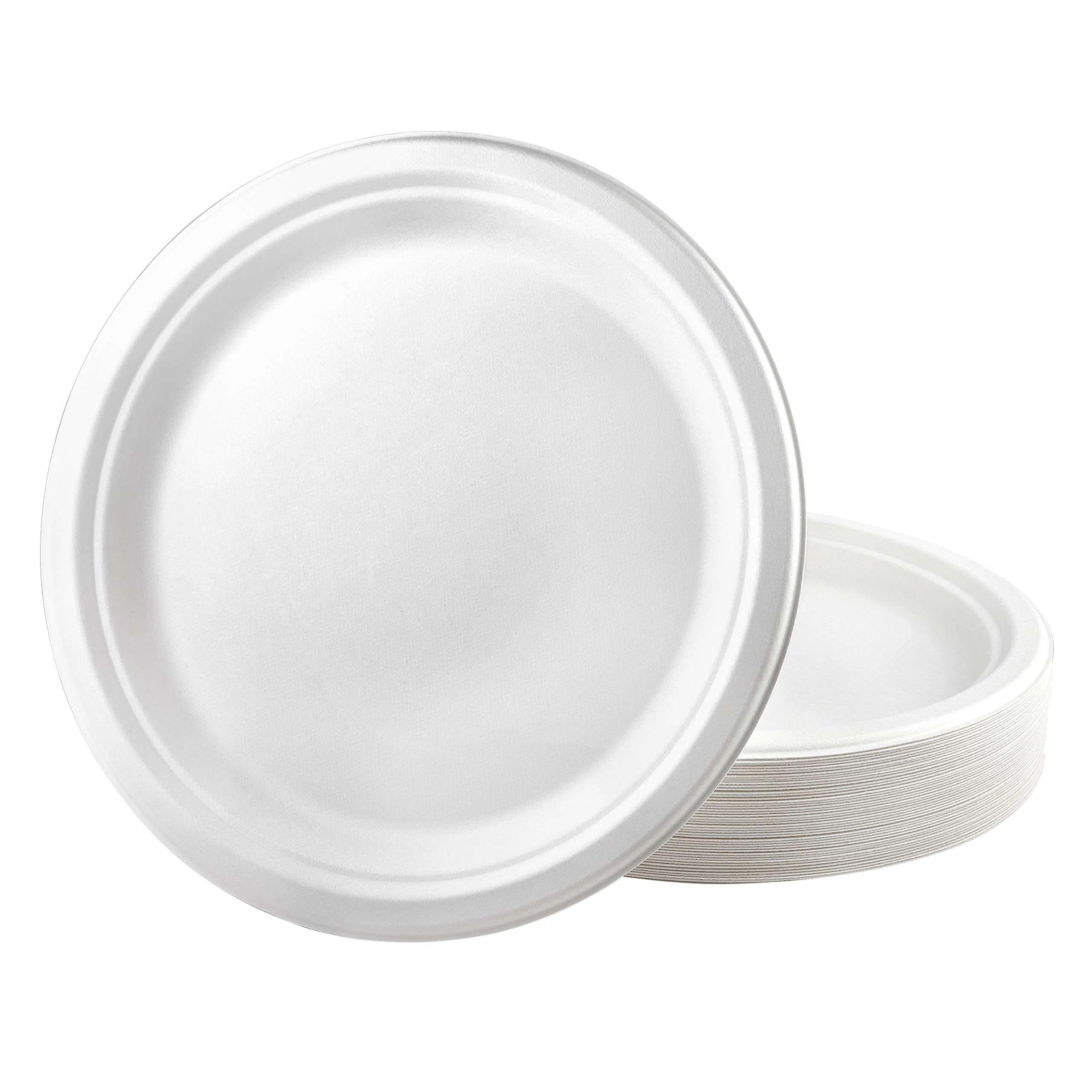 Newly Arrived Eco-Friendly Compostable Biodegradable Sugarcane Pulp Food Tray
